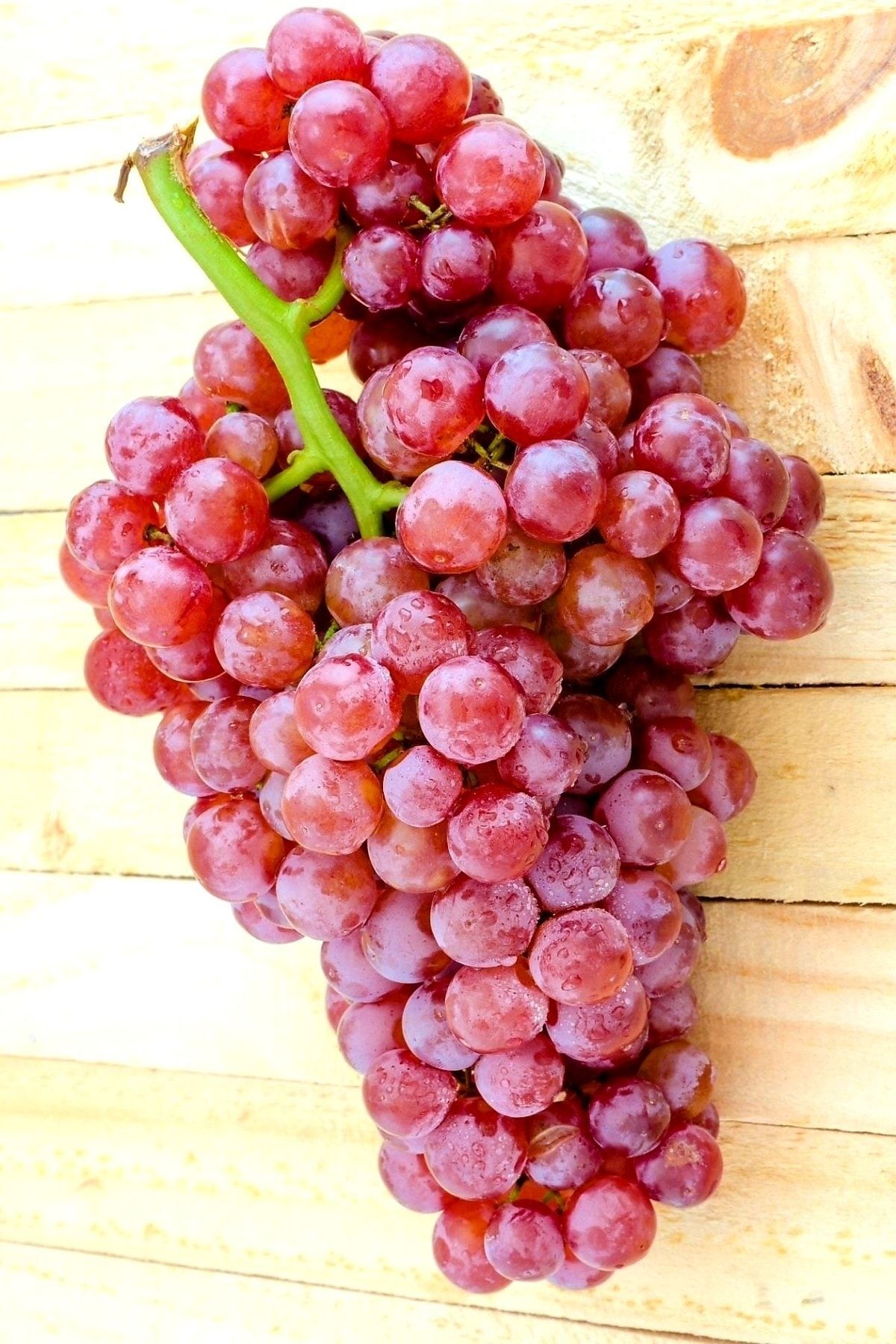 Fide Tatlı Pembe Red Grapes Üzüm Açık Kök 36-41cm