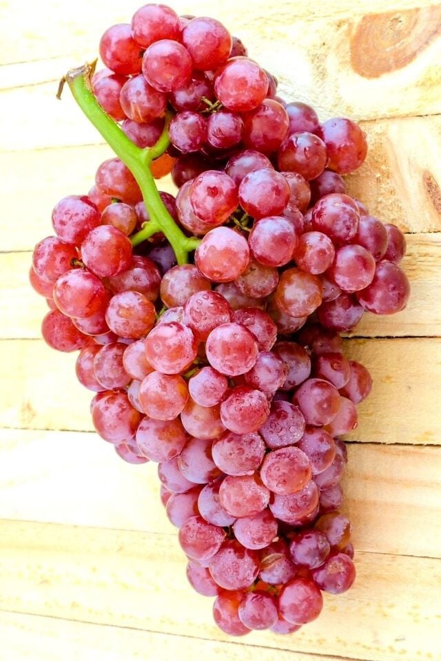 Fide Tatlı Pembe Red Grapes Üzüm Açık Kök 36-41cm