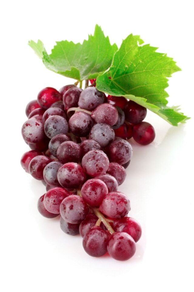 Tüplü Fidan Crimson Seedless Üzüm Fidanı (30-40 cm) - Açık kök